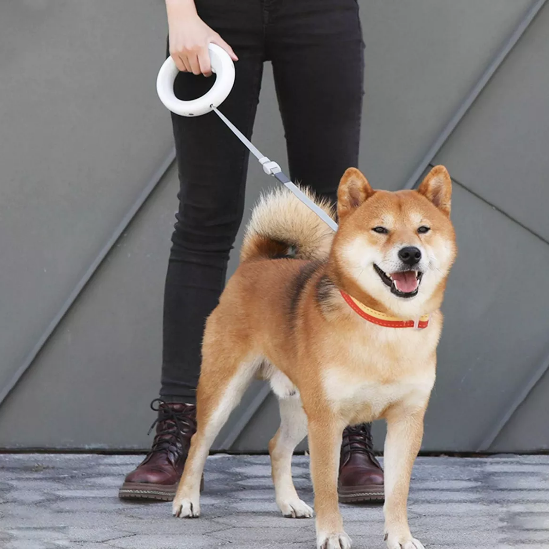 Correa Retractil Mascotas Con Freno