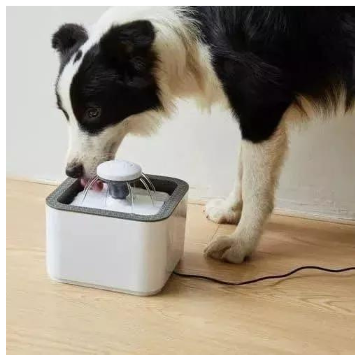 Fuente De Agua Para Mascota 2.5 L