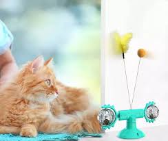 Buyter Molino De Viento 3 En 1 Para Gato